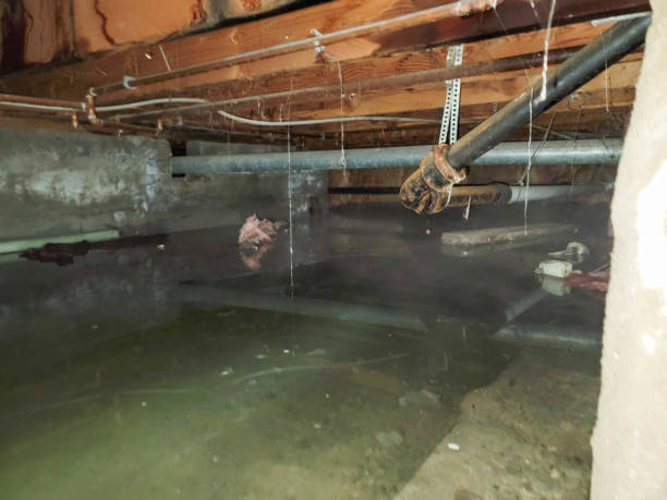 Best Water damage cleanup near me  in Glasgow Village, MO