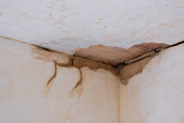 Best Ceiling water damage repair  in Glasgow Village, MO