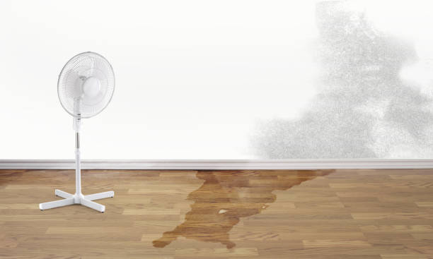 Best Mold removal after water damage  in Glasgow Village, MO