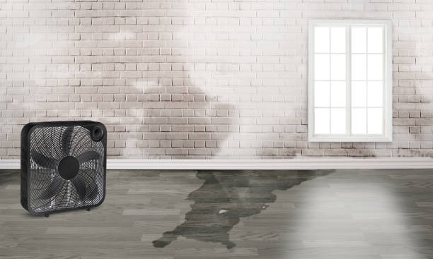 Sewage cleanup and water damage restoration in Glasgow Village, MO