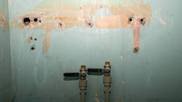 Best Flooded house restoration  in Glasgow Village, MO