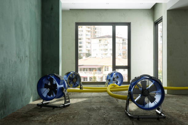 Reliable Glasgow Village, MO Water damage restoration Solutions
