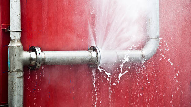 Best Professional water damage repair  in Glasgow Village, MO